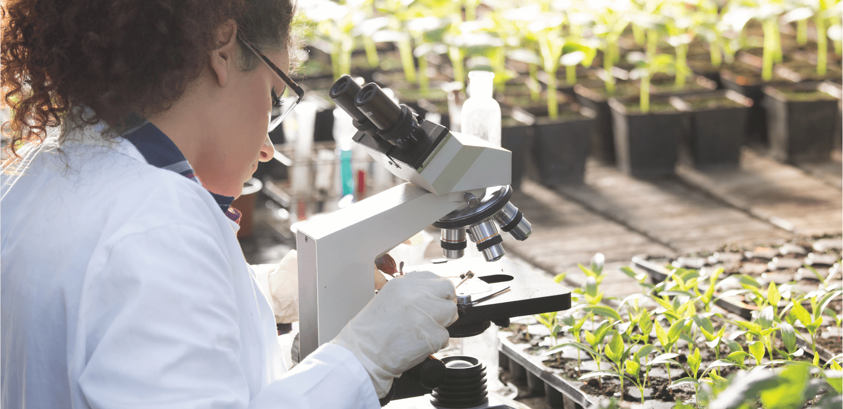 Women in lab coat and gloves with microscope